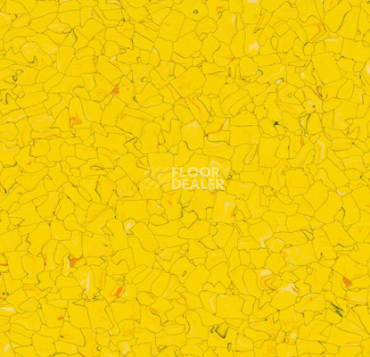 Кварцвиниловые полы Forbo  Colorex Signal SD 150231 sole фото 1 | FLOORDEALER